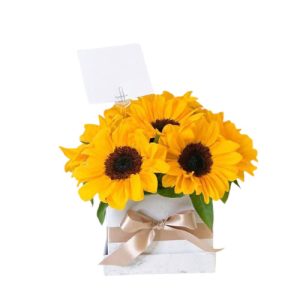 BOX DE GIRASOLES DULCE AMOR