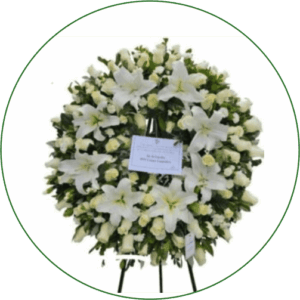 PICARON FUNEBRE